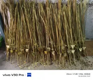 PP MS Trisul Road For Mini Sprinkler2